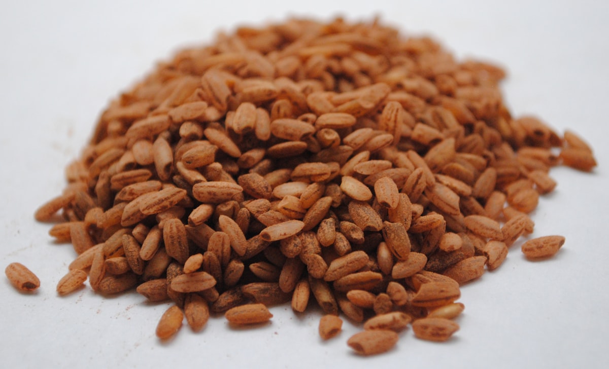 Low glycemic index whole foods including vegetables, legumes, and whole grains