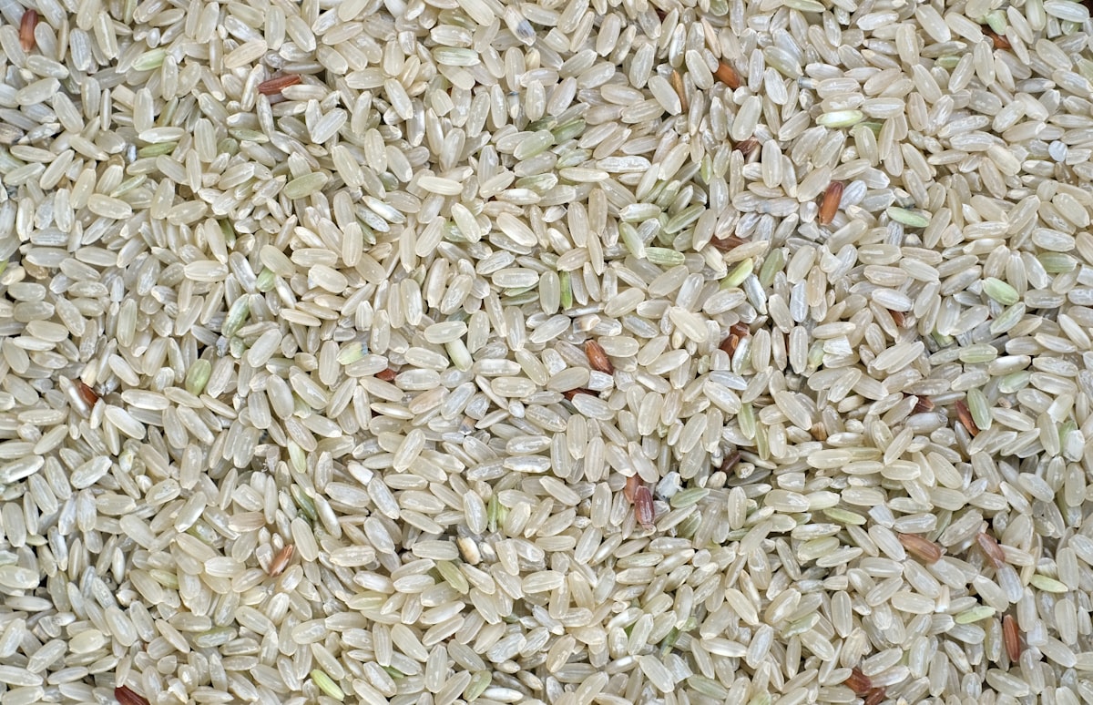 Comprehensive low glycemic index food database and reference guide